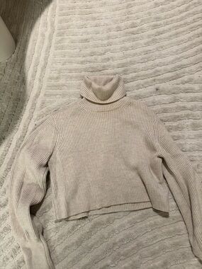 Wilfred Cropped Ribbed Turtleneck Sweater in Light Beige